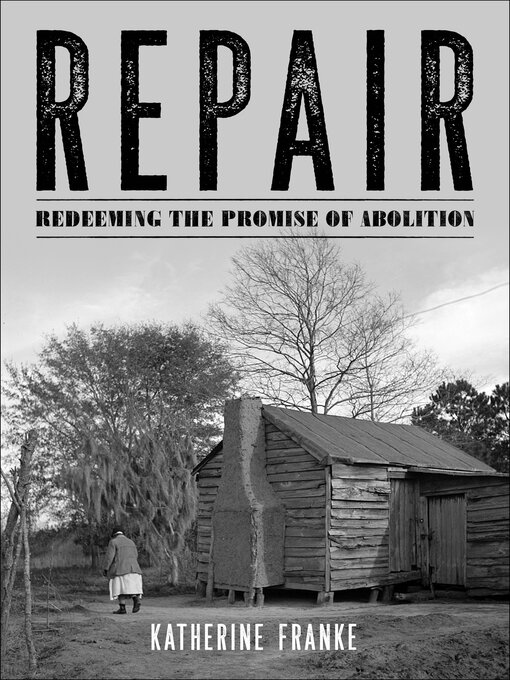 Title details for Repair by Katherine Franke - Available